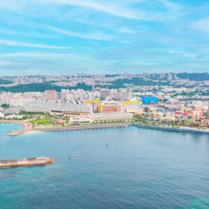 Depot-IslandPanoramic-view_Drone-22