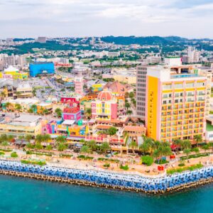 Depot-IslandPanoramic-view_Drone-31