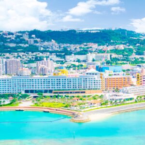 Depot-IslandPanoramic-view_Drone-40